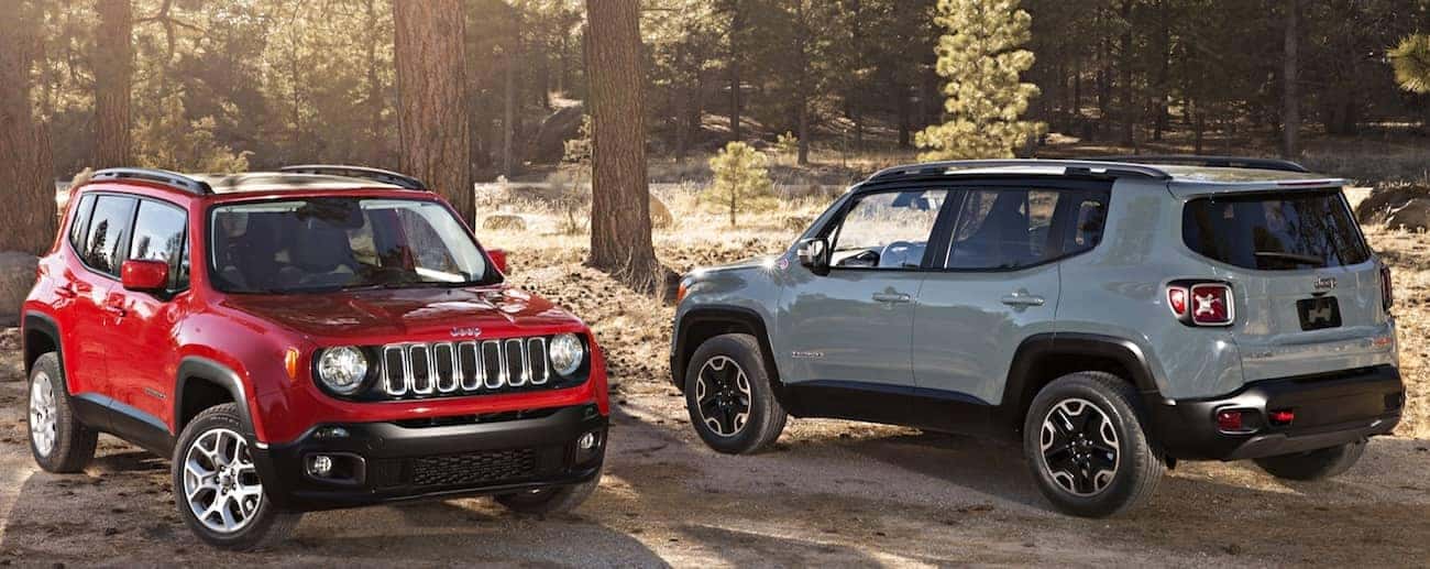 Colorado Springs - A red and a gray 2019 Jeep Renegades parked in the woods next to tall pine trees