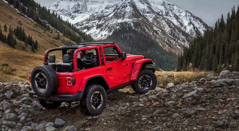 Going Offroad in Your Jeep? 5 Things You'll Want to Have in Place