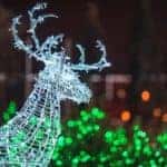 A green lit up raindeer with Christmas lights behind it.