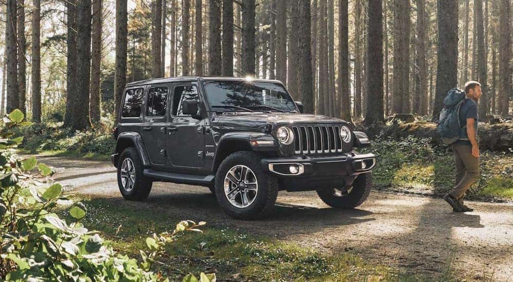 A man is walking away from his 2020 Jeep Wrangler Unlimited in the woods that he purchased from a Colorado Springs Jeep dealership.