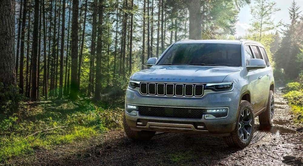 A white 2022 Wagoneer is shown parked on a path in the woods.