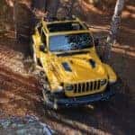 A yellow 2019 Jeep Wrangler Rubicon is shown from a high angle in the woods.