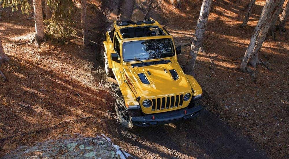 A yellow 2019 Jeep Wrangler Rubicon is shown from a high angle in the woods.