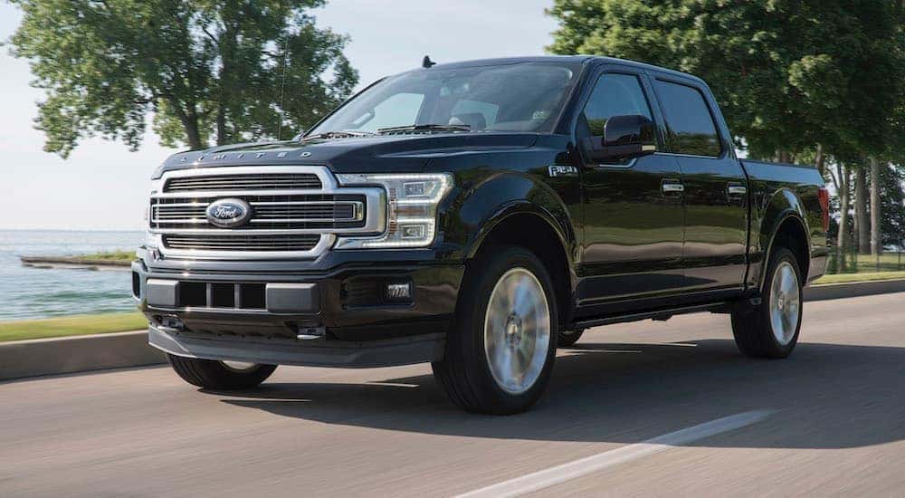 A black 2019 Ford F-150 is shown from the front driving on an open road.