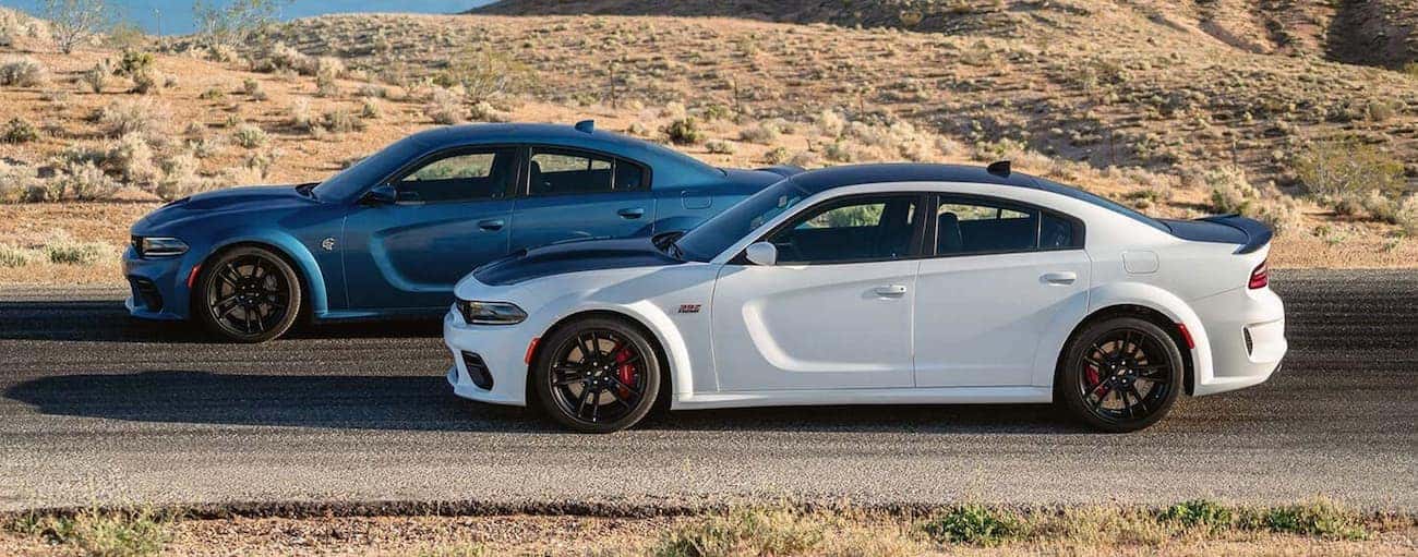 A blue and a white 2020 Dodge Charger are shown from the side.
