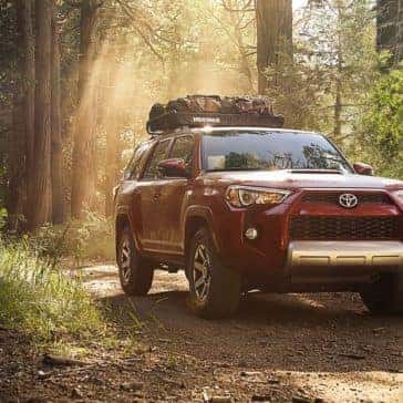 2018 Toyota 4Runner woods