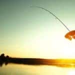 Man Fishing