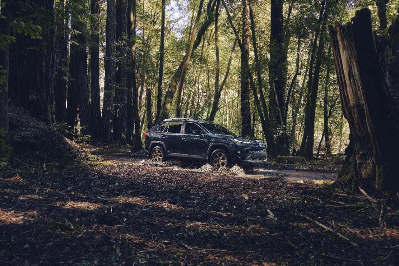 Certified PreOwned Toyota Dealer near Raleigh NC Toyota of Gastonia