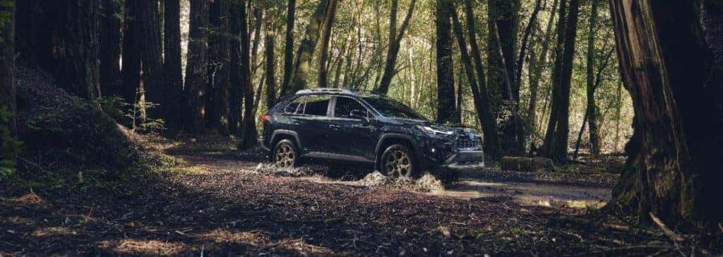 Car Rentals in Gastonia NC