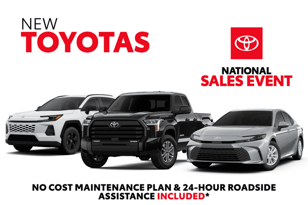 No Payments for 6 Months