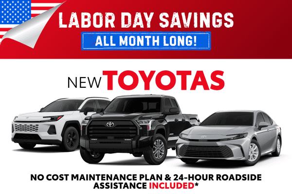 No Payments for 6 Months