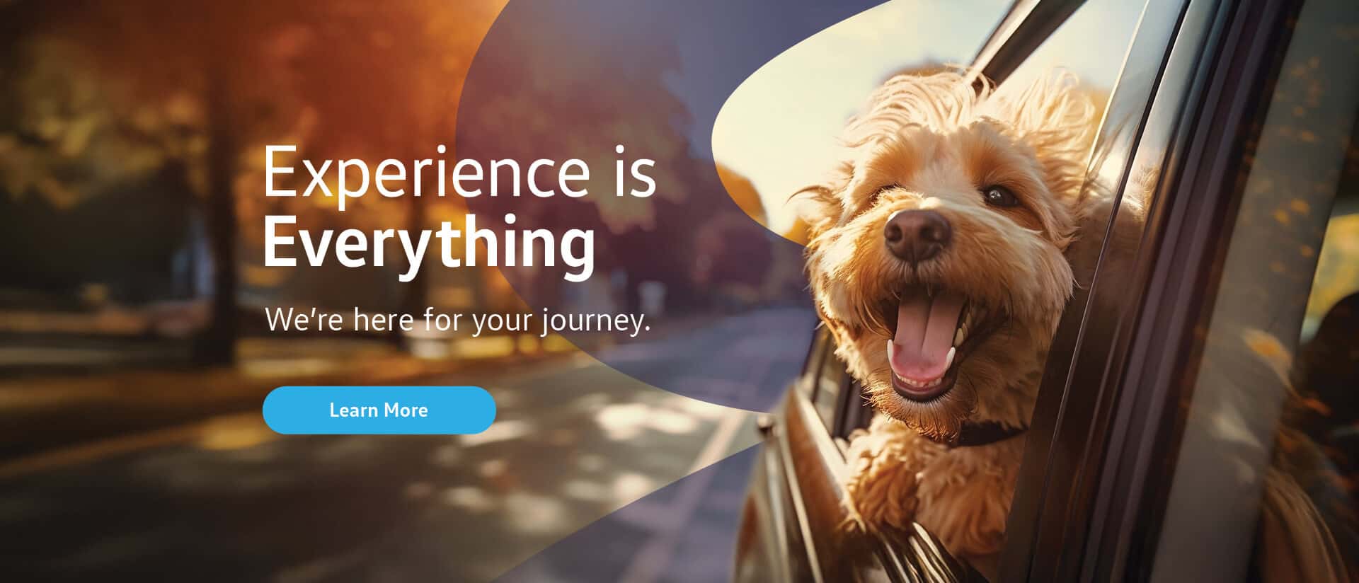 25-BAG-01-EverythingAuto-HomePage-Hero-Volkswagen-Desktop-fnl1