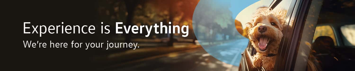 25-BAG-01-ExperienceisEverything-InventoryBanner-Volkswagen-Desktop-fnl1