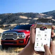 FLEET MANAGEMENT